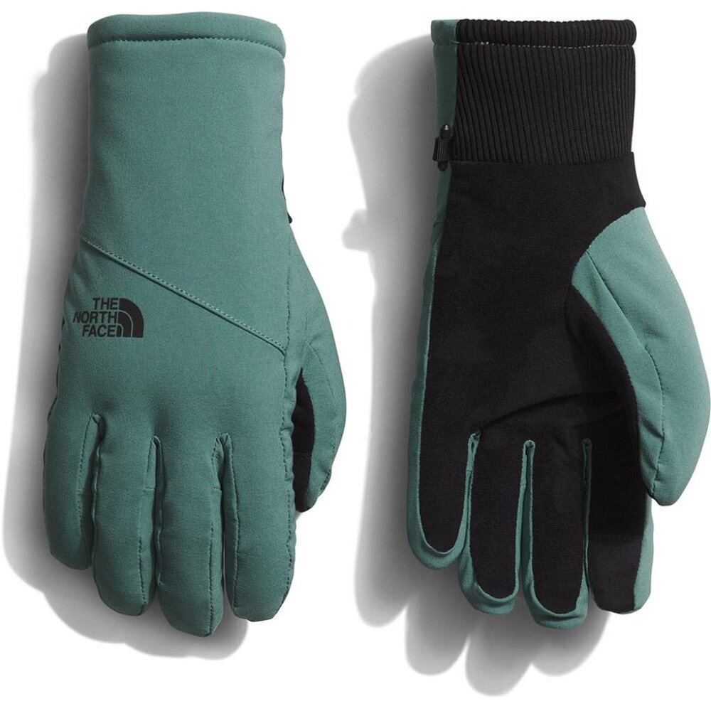 The North Face Shelbe Raschel Etip Gloves